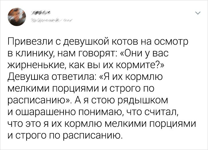 Питомцы цветы жизни