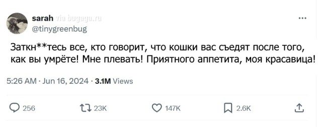 Будни владельцев котов и собак