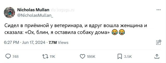 Будни владельцев котов и собак