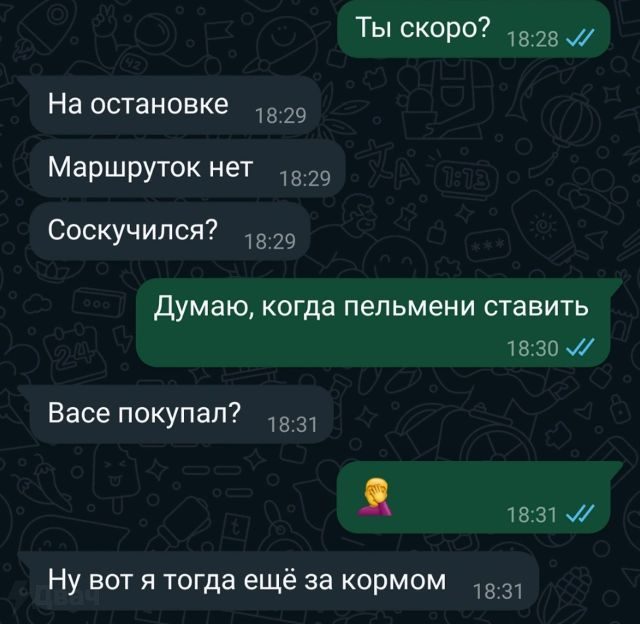 Этот кот так и не дождался корма