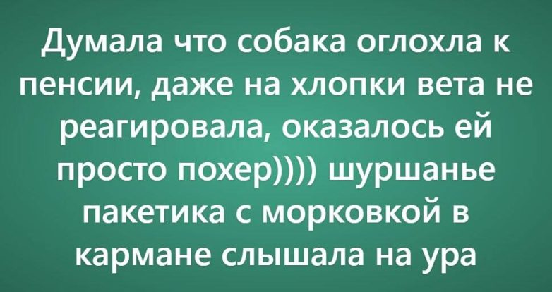 Очень нелепые причинах поездки к ветеринару