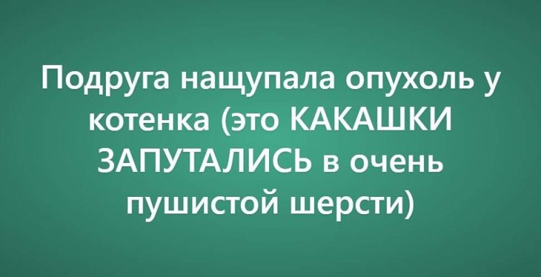 Очень нелепые причинах поездки к ветеринару