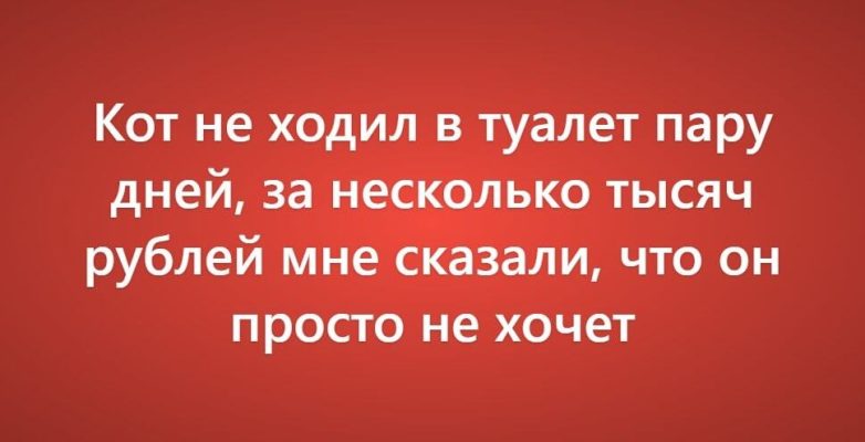 Очень нелепые причинах поездки к ветеринару