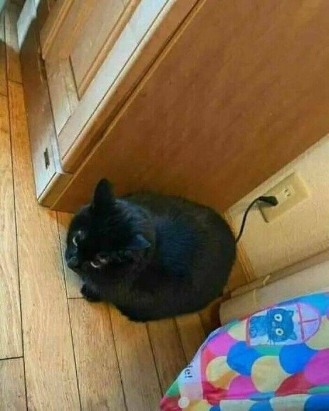 Короли и королевы драмы и комедии
