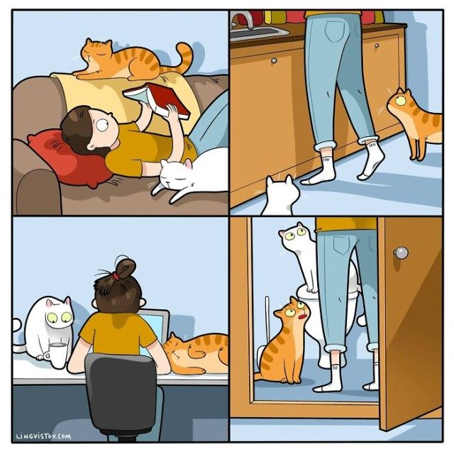 Кошачьи комиксах и иллюстрациях