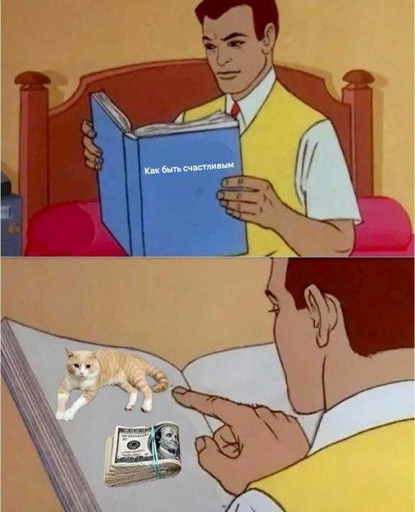 Прикольные мемы для тех, кто любит кошек