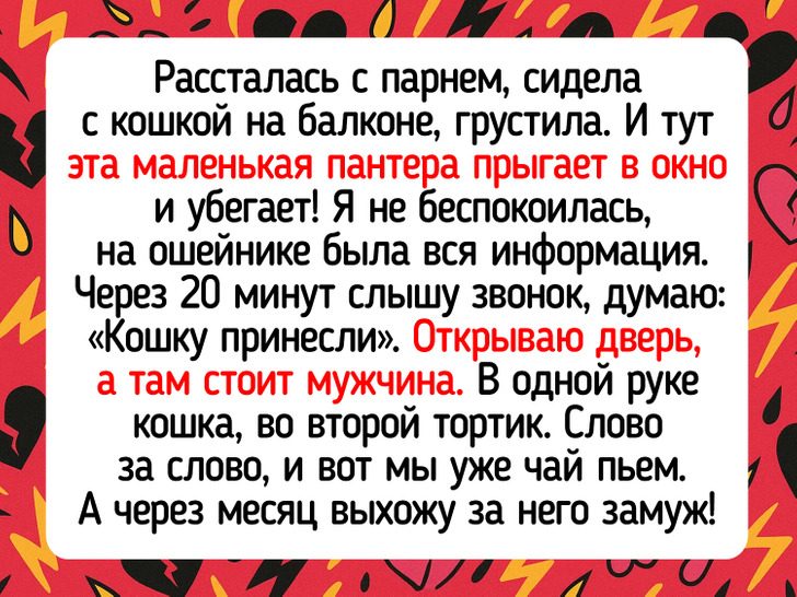 Истории о питомцах, которые привели хозяев к настоящей любви
