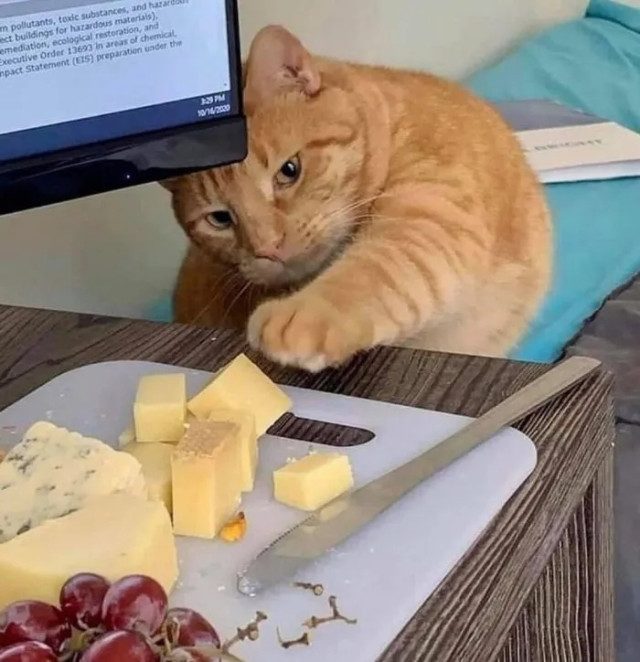 Виноватые, но довольные