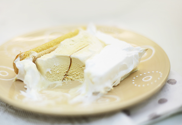 Alaska Ice Cream