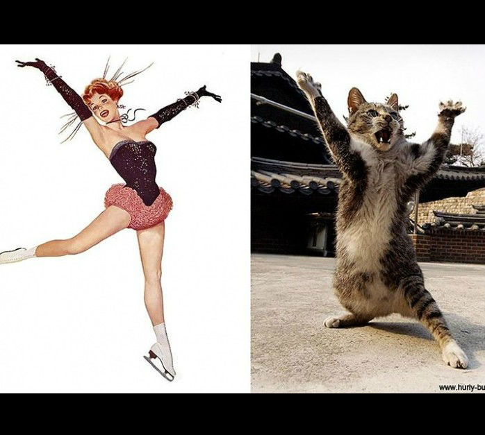 Смешные комиксы. Повтори коте. Коты йоги. Поза человека с котом. Кошки повторяют за людьми подпорка.