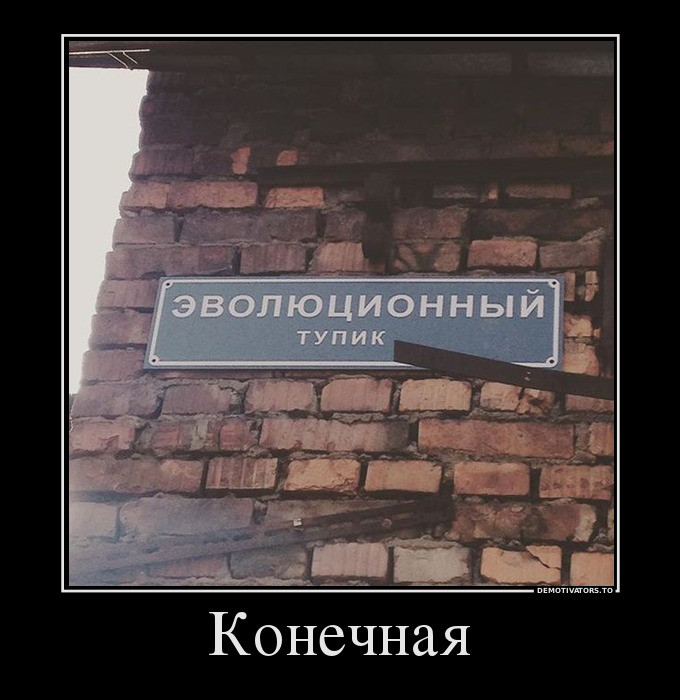 Демотиваторы настроения / Приколы