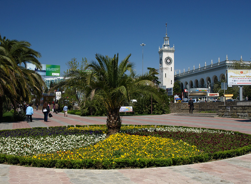большой сочинский дельфинарий ривьера. жд вокзал сочи пальмы. сочи парк зимой 2023. сочи куда сходить в марте 2024. сочи парк сочи парк аттракционы.