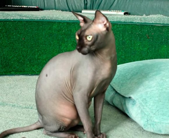 Территория поисков