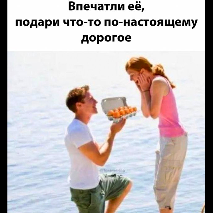 Приколы про подорожавшие яйца / Писец - приколы интернета